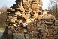 2007-02-06 Inowłódz - ruiny zamku (30)