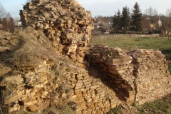 2007-02-06 Inowłódz - ruiny zamku (33)