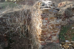 2007-02-06 Inowłódz - ruiny zamku (34)