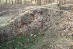 2007-02-06 Inowłódz - ruiny zamku (35)