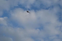 2007-02-06 Inowłódz - ruiny zamku (39)