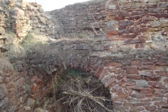 2007-02-06 Inowłódz - ruiny zamku (40)