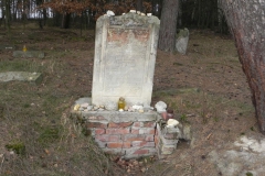 2010-01-21 Inowłódz - cmentarz żydowski (64)