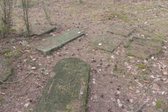 2010-01-21 Inowłódz - cmentarz żydowski (68)