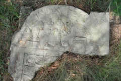 2011-08-07 Inowłódz - cmentarz żydowski (11)