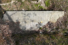 2011-08-07 Inowłódz - cmentarz żydowski (15)