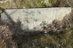 2011-08-07 Inowłódz - cmentarz żydowski (16)