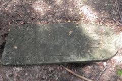 2011-08-07 Inowłódz - cmentarz żydowski (20)