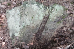 2011-08-07 Inowłódz - cmentarz żydowski (23)