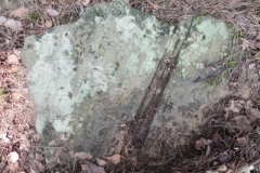 2011-08-07 Inowłódz - cmentarz żydowski (24)