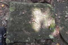 2011-08-07 Inowłódz - cmentarz żydowski (26)