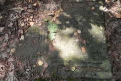 2011-08-07 Inowłódz - cmentarz żydowski (27)