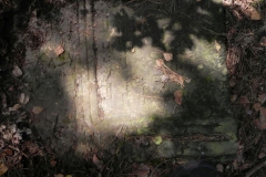 2011-08-07 Inowłódz - cmentarz żydowski (28)