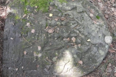 2011-08-07 Inowłódz - cmentarz żydowski (30)