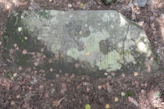 2011-08-07 Inowłódz - cmentarz żydowski (31)