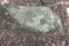 2011-08-07 Inowłódz - cmentarz żydowski (32)