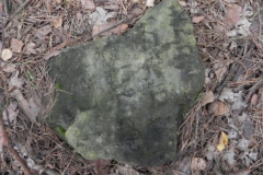 2011-08-07 Inowłódz - cmentarz żydowski (33)