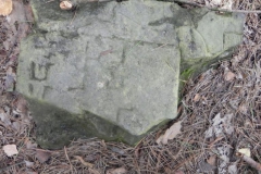 2011-08-07 Inowłódz - cmentarz żydowski (34)