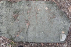 2011-08-07 Inowłódz - cmentarz żydowski (35)