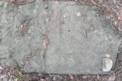 2011-08-07 Inowłódz - cmentarz żydowski (36)