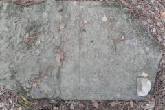 2011-08-07 Inowłódz - cmentarz żydowski (37)