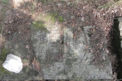 2011-08-07 Inowłódz - cmentarz żydowski (39)