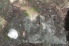 2011-08-07 Inowłódz - cmentarz żydowski (40)