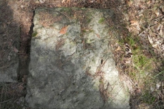 2011-08-07 Inowłódz - cmentarz żydowski (41)