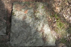 2011-08-07 Inowłódz - cmentarz żydowski (42)