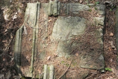 2011-08-07 Inowłódz - cmentarz żydowski (44)