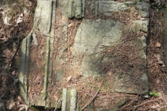 2011-08-07 Inowłódz - cmentarz żydowski (45)