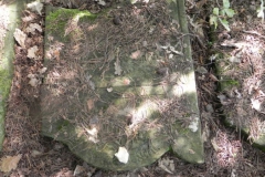 2011-08-07 Inowłódz - cmentarz żydowski (46)