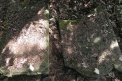 2011-08-07 Inowłódz - cmentarz żydowski (47)