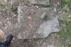 2011-08-07 Inowłódz - cmentarz żydowski (48)