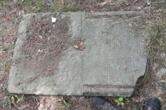 2011-08-07 Inowłódz - cmentarz żydowski (49)