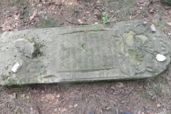 2011-08-07 Inowłódz - cmentarz żydowski (50)