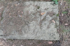 2011-08-07 Inowłódz - cmentarz żydowski (51)