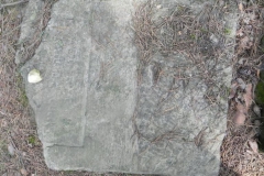 2011-08-07 Inowłódz - cmentarz żydowski (52)