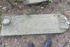 2011-08-07 Inowłódz - cmentarz żydowski (53)