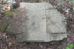 2011-08-07 Inowłódz - cmentarz żydowski (54)