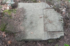 2011-08-07 Inowłódz - cmentarz żydowski (55)