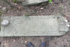 2011-08-07 Inowłódz - cmentarz żydowski (56)