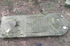 2011-08-07 Inowłódz - cmentarz żydowski (57)