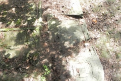 2011-08-07 Inowłódz - cmentarz żydowski (58)