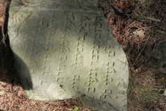 2011-08-07 Inowłódz - cmentarz żydowski (59)