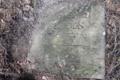 2011-08-07 Inowłódz - cmentarz żydowski (6)