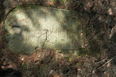 2011-08-07 Inowłódz - cmentarz żydowski (60)