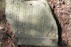 2011-08-07 Inowłódz - cmentarz żydowski (61)