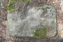 2011-08-07 Inowłódz - cmentarz żydowski (63)