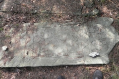 2011-08-07 Inowłódz - cmentarz żydowski (64)